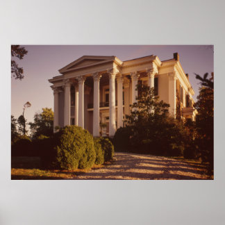 Poster TN de Rattle & Snap Plantation Columbia