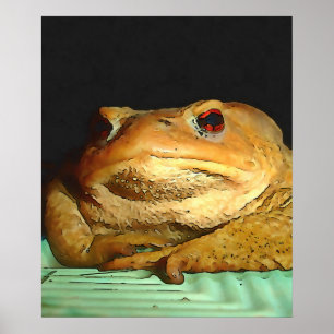 Poster Toad Avec La Peinture De Disposition Philosophique