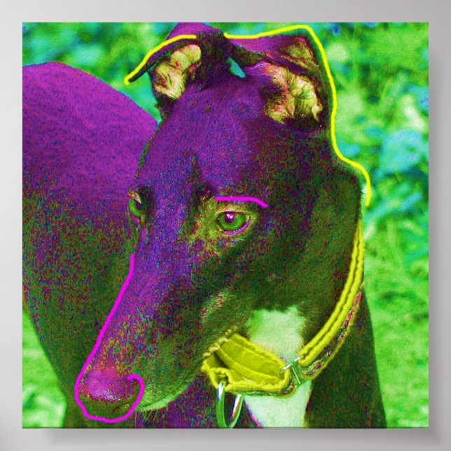 Poster Tobey (Devant)