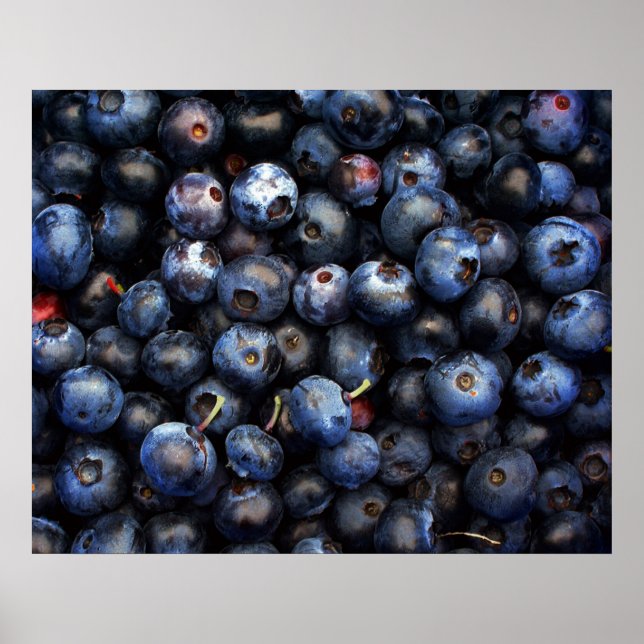 Poster Toile Blueberries (Devant)