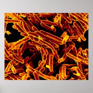 Poster toile d'affiche d'art abstrait de microbiologie de