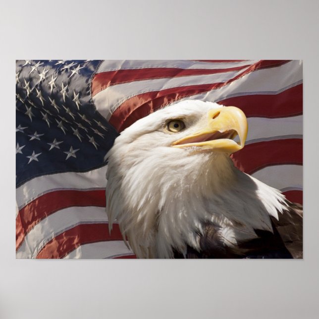 Poster toile d'aigle patriotique (Devant)