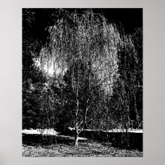 Poster Toile de fond