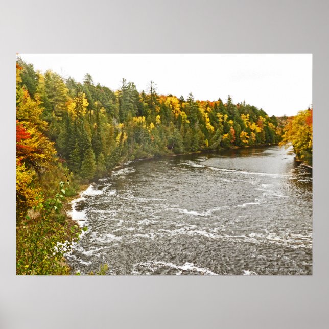 Poster toile en verre imprimé/TAHQUAMENON RIVER/GOLD AND  (Devant)