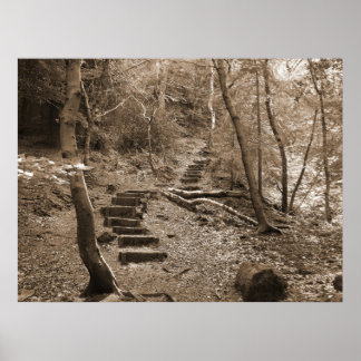 Poster Toile XL Forrest Steps