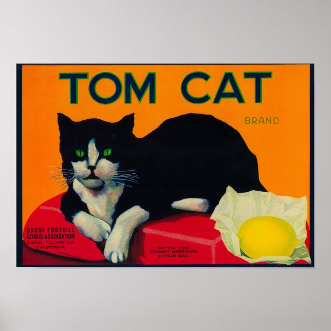 Poster Tom Cat Lemon LabelOrosi, CA (Devant)