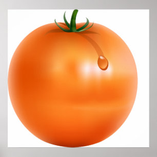 Poster Tomate