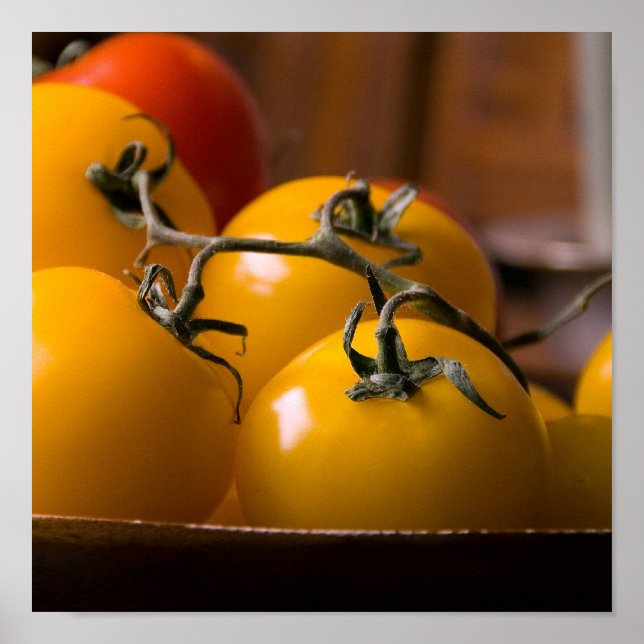 Poster Tomate fraîche (Devant)