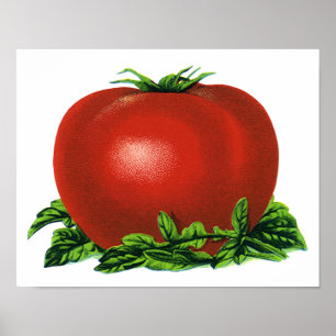 Poster Tomate Rouge Mûr Vintage, Légumes et Fruits
