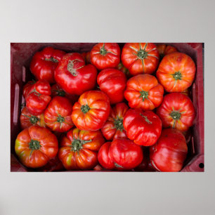 Poster Tomates au marché