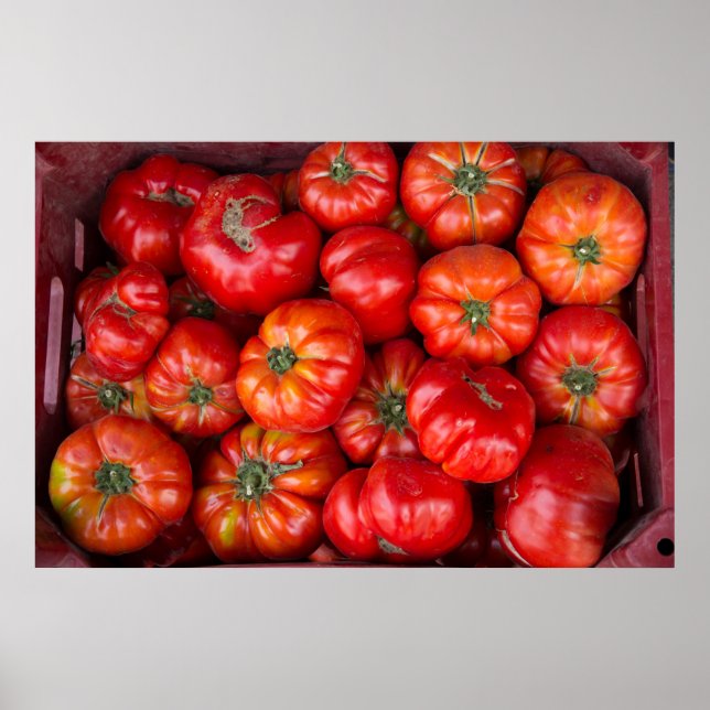 Poster Tomates au marché (Devant)