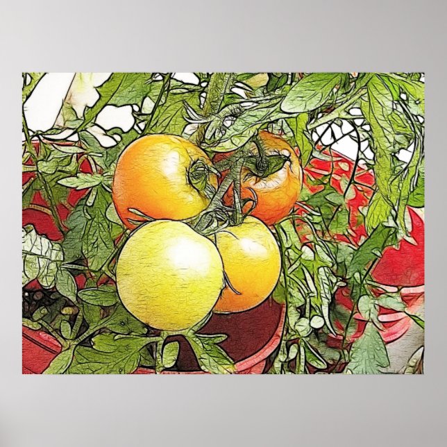 Poster Tomates de jardin frais de l'Héirloom (Devant)