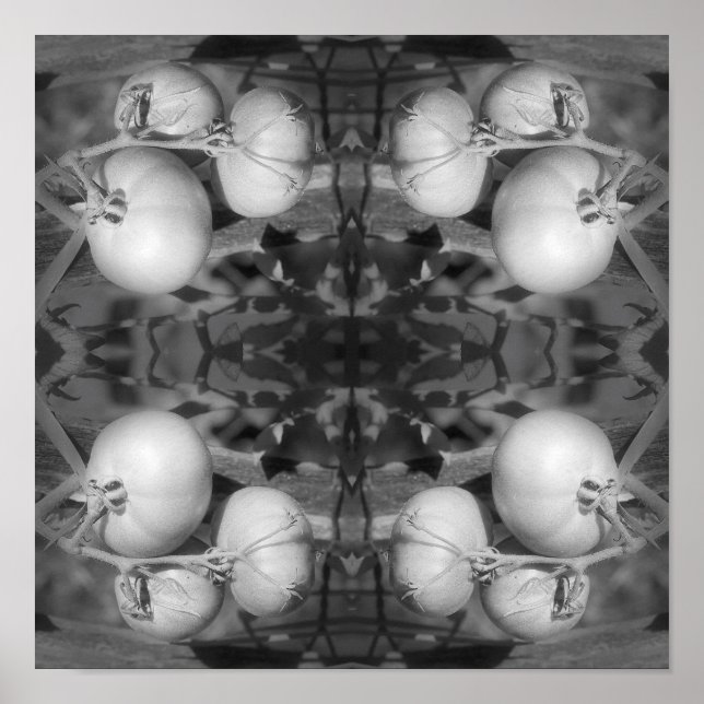 Poster Tomates En Noir Et Blanc Abstrait (Devant)