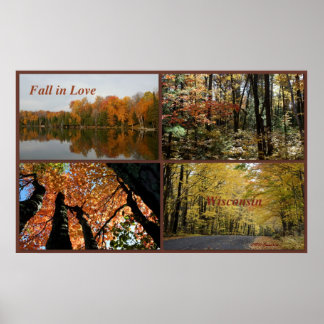 Poster Tomber dans l'amour Wisconsin