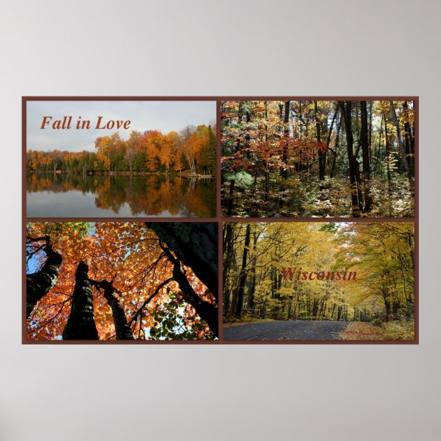 Poster Tomber dans l'amour Wisconsin (Devant)