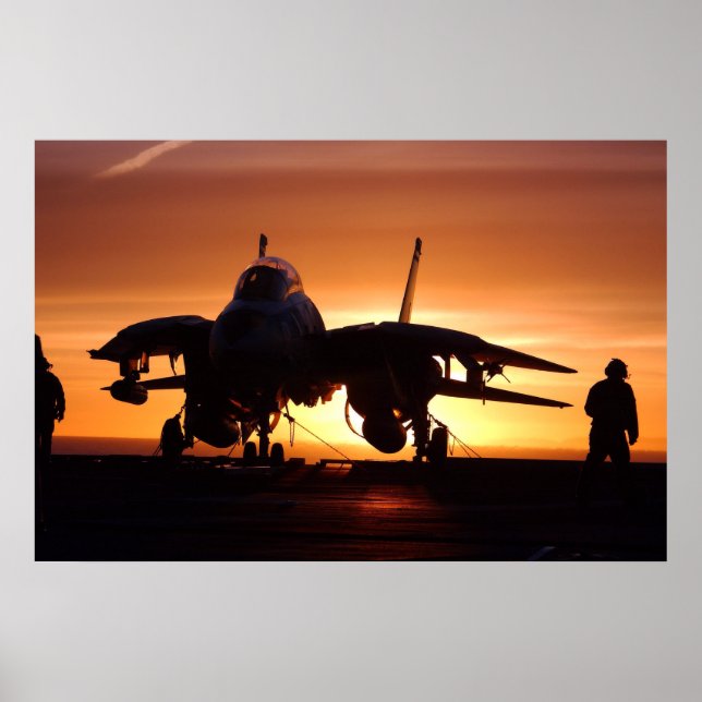 Poster Tomcat dans le golfe d'Alaska (Devant)