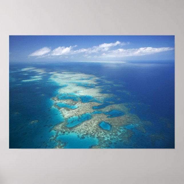 Poster Tongue Reef, Great Barriere Marine Park, (Devant)