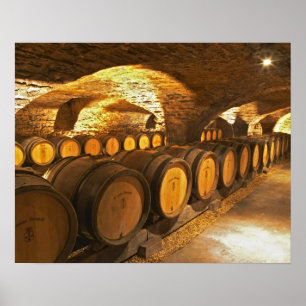 Poster Tonneaux de chêne dans la cave au Domaine Comte