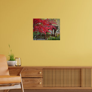Poster Tonnelle de jardin et feuilles d'érable rouges