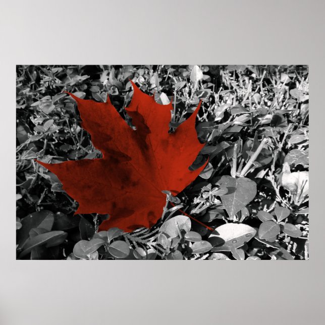 Poster tons automne (Devant)