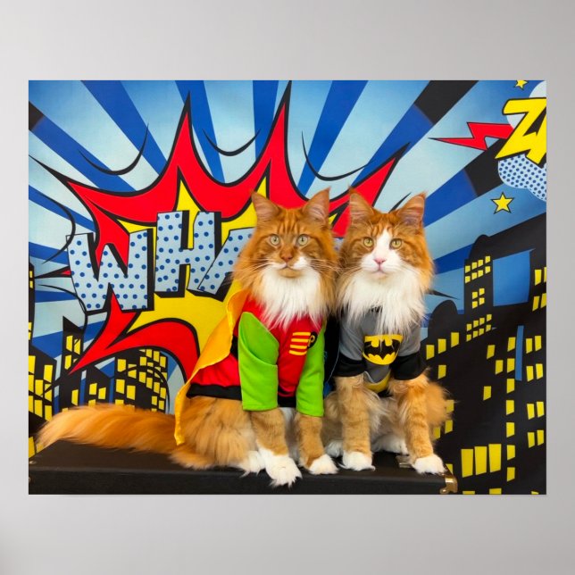 Poster Tony et Teddy, le Dynamic Maine Coon Duo (Devant)