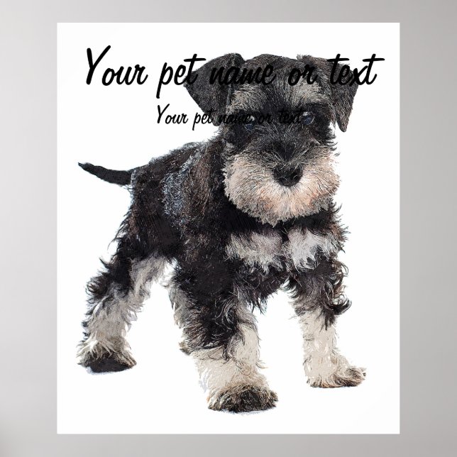 Poster Too Cute Puppy Miniature Schnauzer Dog (Devant)