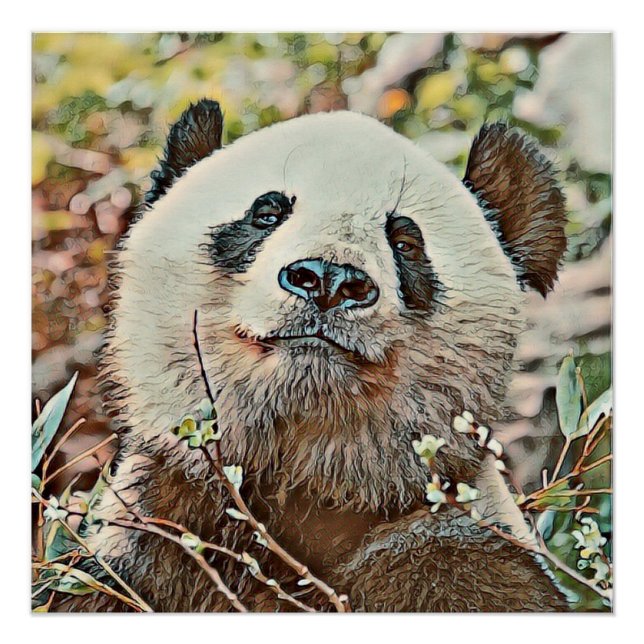 Poster toony panda (Devant)