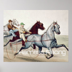 Poster TOP Harness Racing