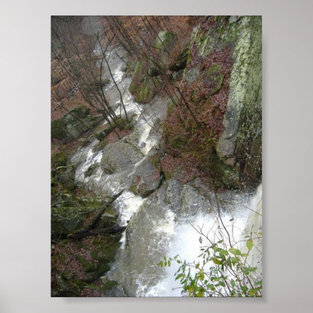 Poster Top of the Falls (Devant)