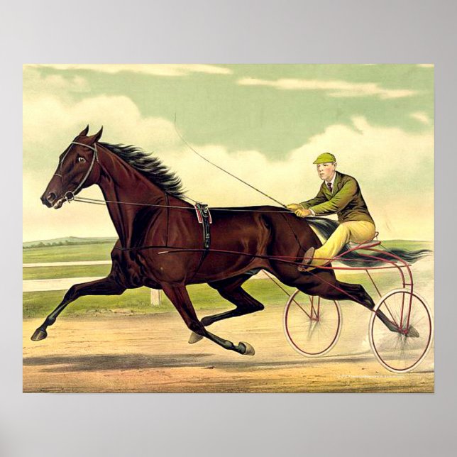 Poster TOP Sulky Champ (Devant)