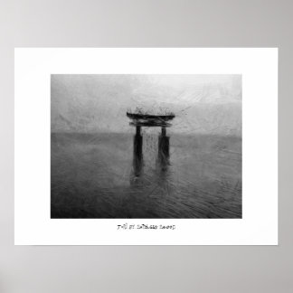 POSTER TORII