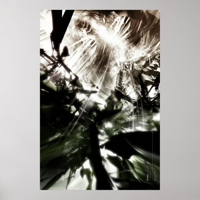 Poster Torn (Devant)