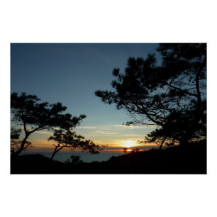 Poster Torrey Pine Sunset III Paysage californien