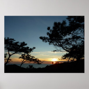 Poster Torrey Pine Sunset III Paysage californien