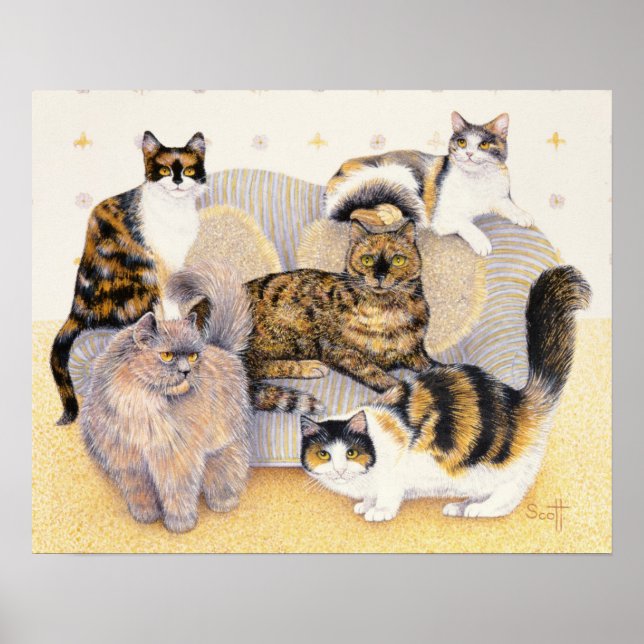 Poster Tortoiseshell dames (Devant)