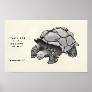 Poster tortue