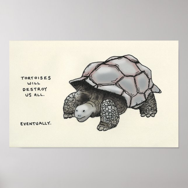 Poster tortue (Devant)