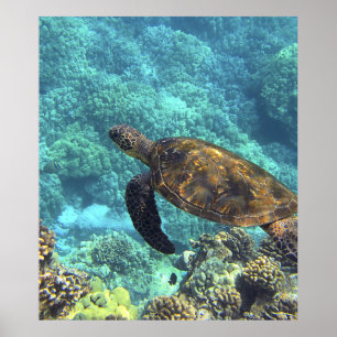 Poster tortue dans la mer