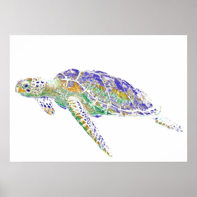 Poster Tortue de mer (Devant)