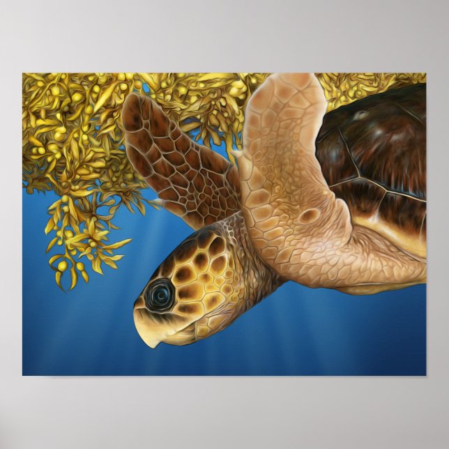 Poster Tortue de mer à tête noire Stylisée avec Sargassum (Devant)