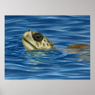 Poster Tortue de mer d'Olive Ridley