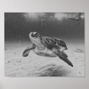 Poster Tortue de mer noire et blanche Tropical Printable 