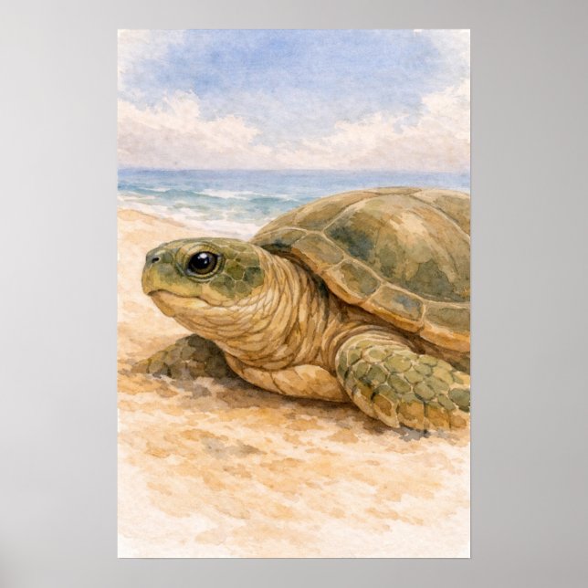 Poster Tortue de mer Plage Océanique (Devant)