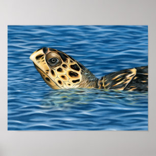 Poster Tortue de mer Stylisée Basking
