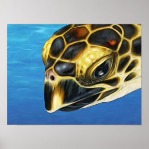 Poster Tortue de mer Stylisée Hawksbill