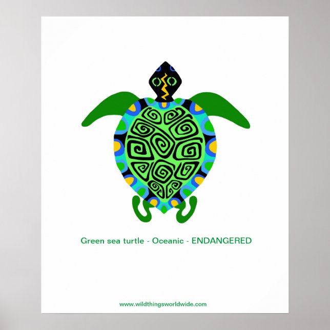 Poster TORTUE de mer tropicale - Espèces en voie de dispa (Devant)