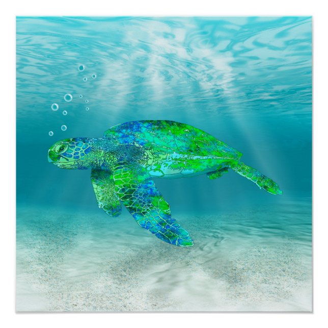 Poster Tortue de mer verte (Devant)