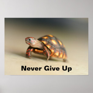 Poster Tortue de sébaste