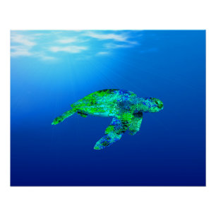 Poster Tortue marine