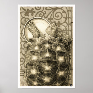 Poster Tortue Sulcata Art Nouveau Encre Dessin sépia